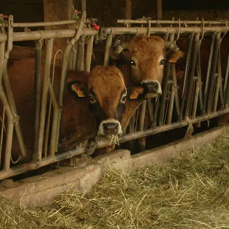 Nature A La Ferme