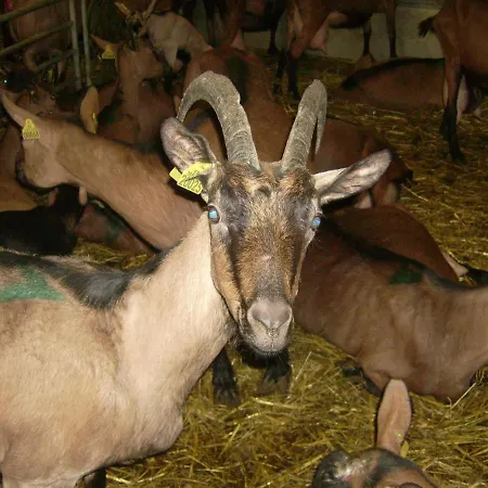 Nature A La Ferme * La Canourgue
