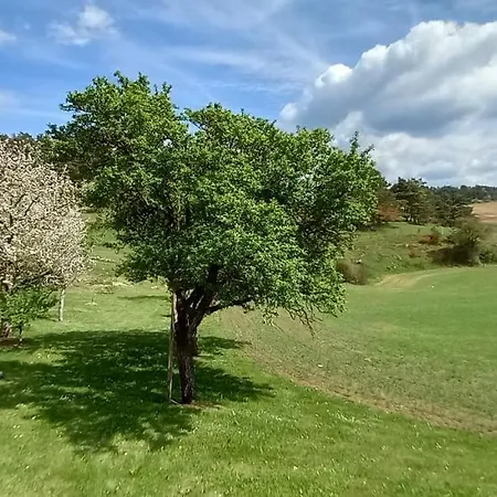 Alojamento de Turismo Selvagem Nature A La Ferme *