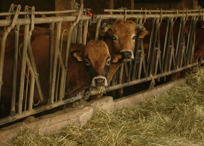 Nature A La Ferme