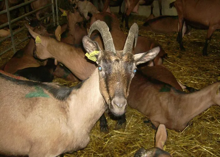 Nature A La Ferme * La Canourgue