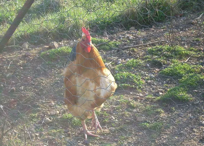 Деревянный коттедж Nature A La Ferme *